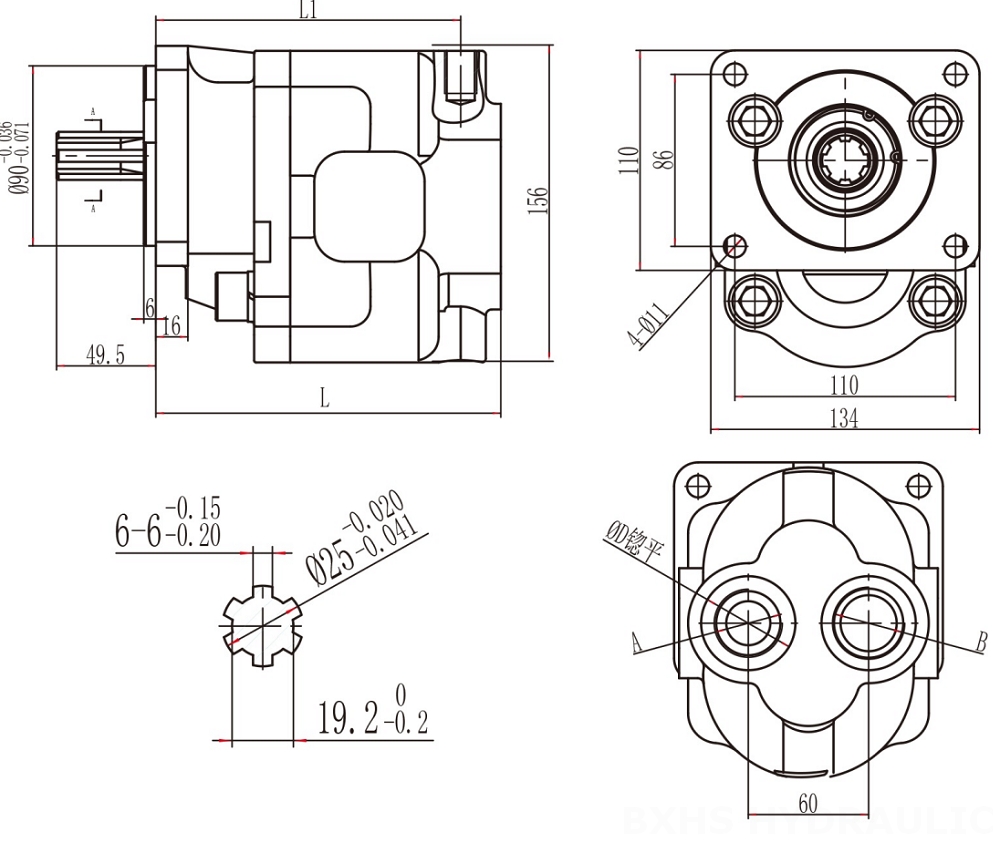 CBHS-F550 50 cm³/obrót Pompa hydrauliczna zębata drawing image