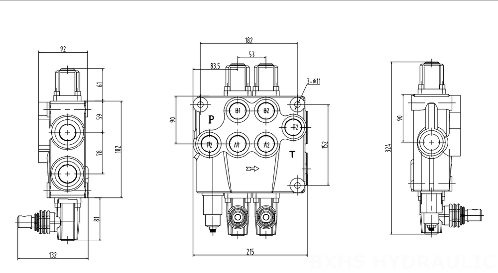 P120 Ręczna 2 Szpule Zawór kierunkowy monoblokowy drawing image