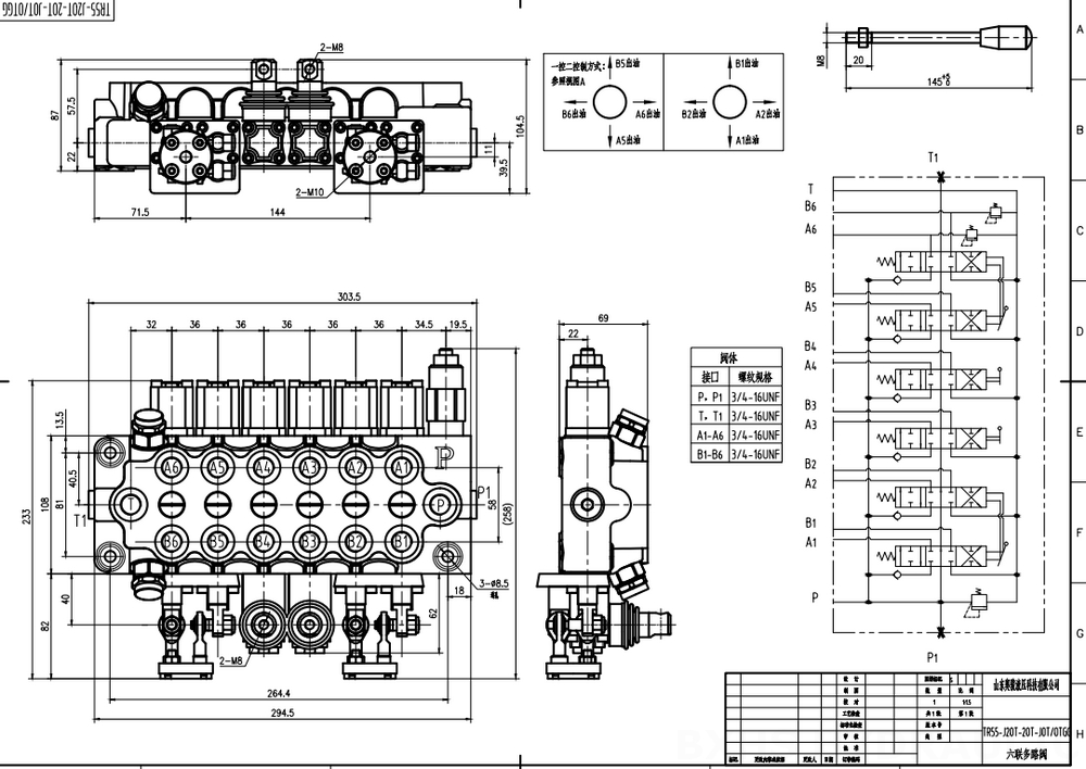 TR55 Ręczna i joystick 6 Szpul Zawór kierunkowy monoblokowy drawing image