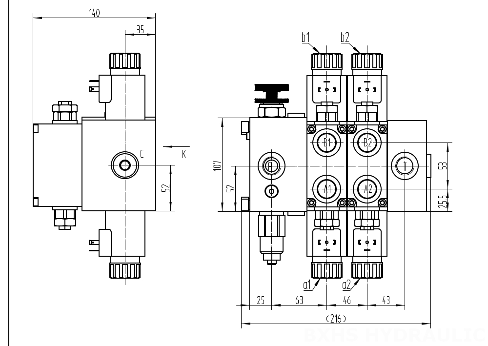 DCV58F Elektromagnes 2 Szpule Zawór kierunkowy sekcyjny drawing image