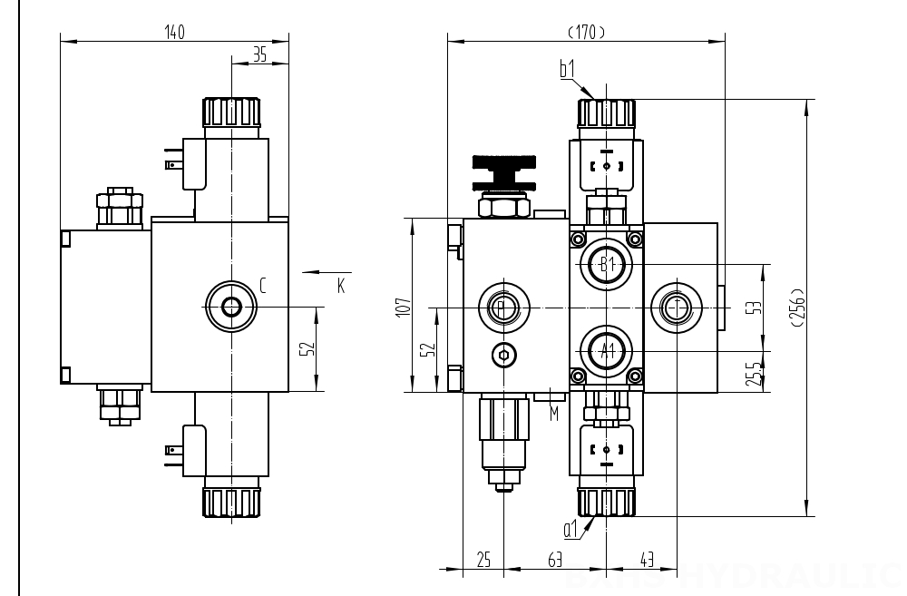 DCV58F Elektromagnes 1 Szpula Zawór kierunkowy sekcyjny drawing image