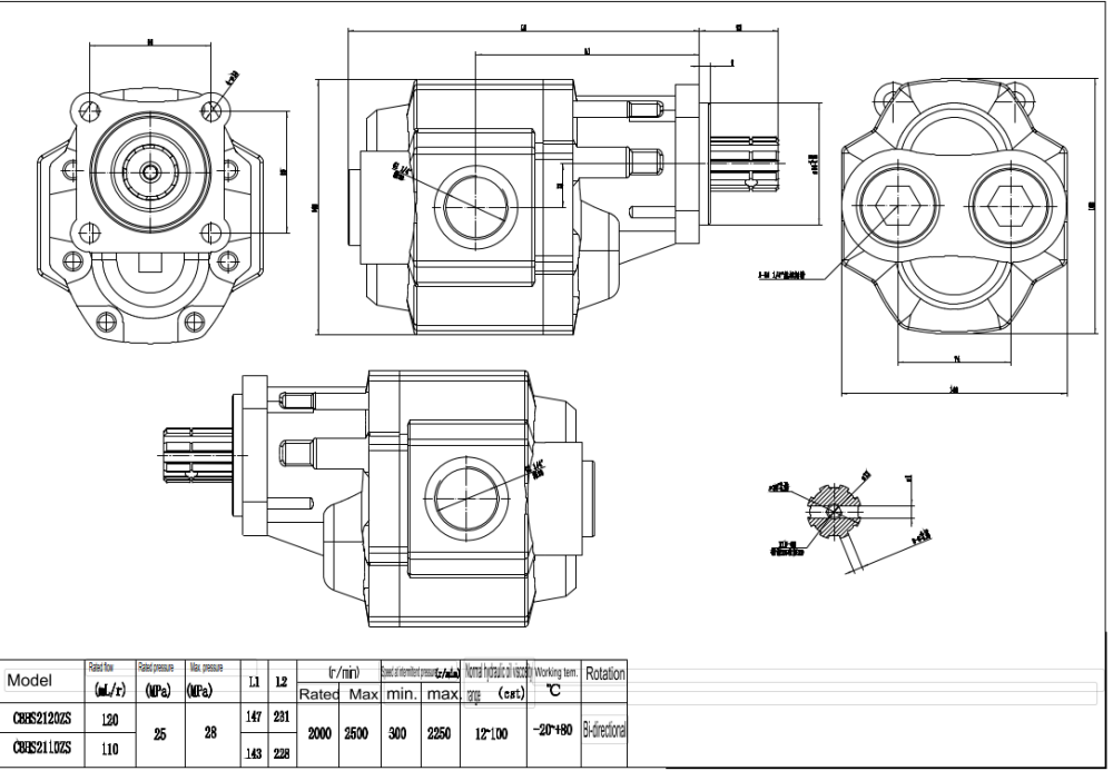 CBHST1-ISO-110 110 cm³/obr Pompa hydrauliczna zębata drawing image
