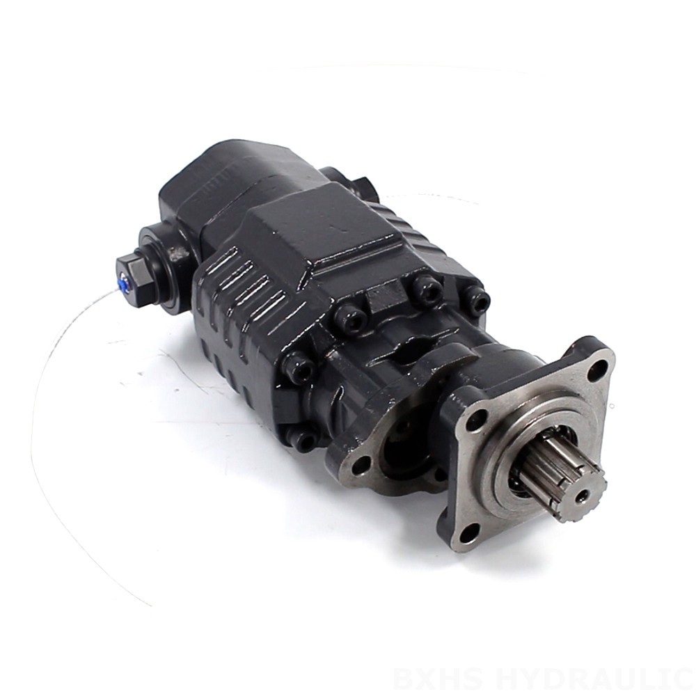 BF110A-ZF1 110 cm³/obr 20 MPa (2900 psi) Pompa hydrauliczna zębata BF110A-ZF1 110 cm³/obr 20 MPa (2900 psi) Pompa hydrauliczna zębata image