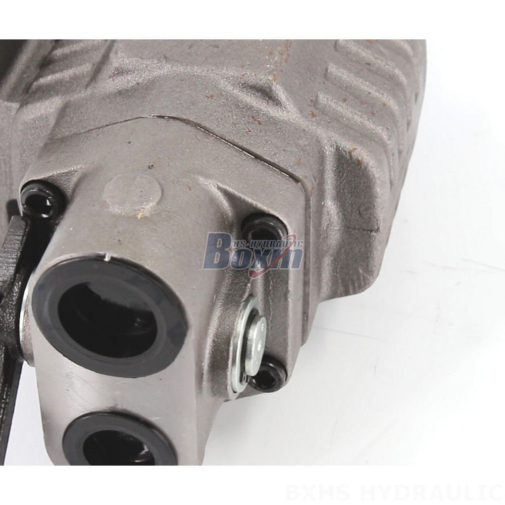 Direct from Manufacturer: BF110M 2900 psi Hydraulic Gear Pump detail image