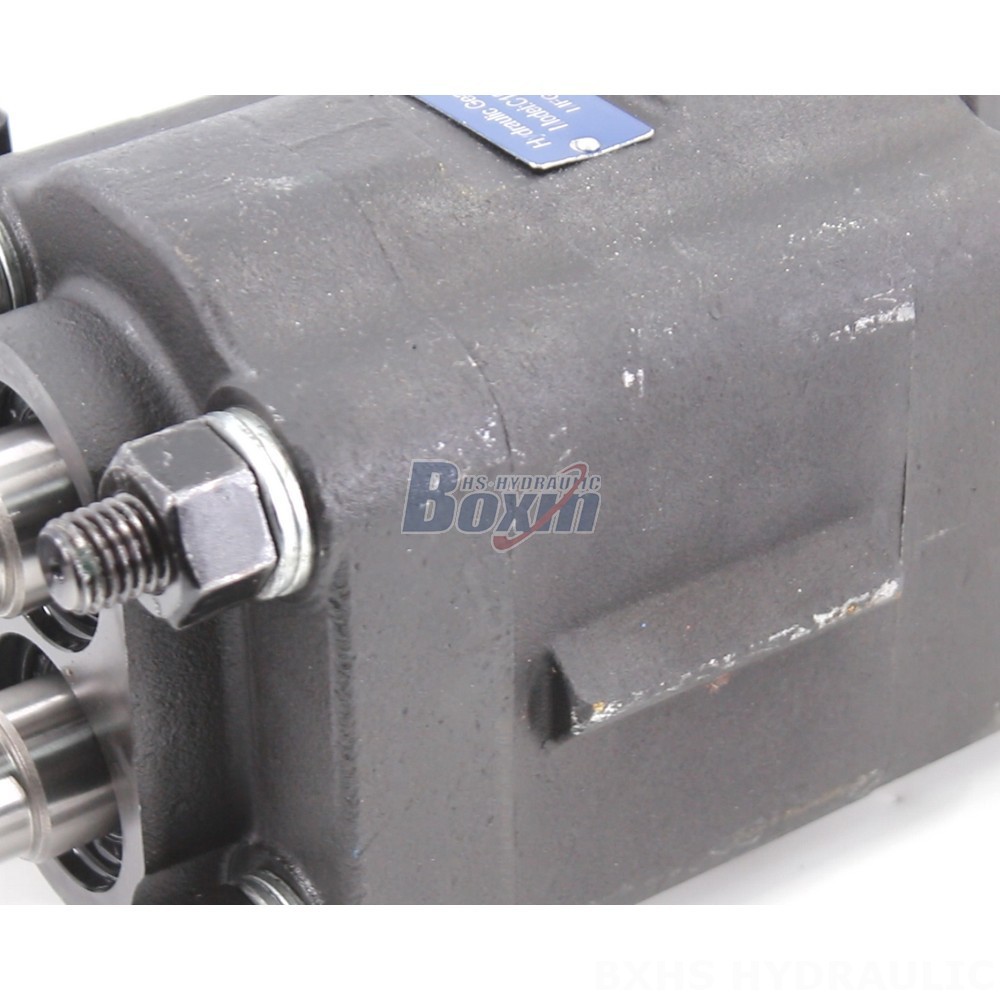 Partnership Opportunities: C101-25-LAS Hydraulic Gear Pump Manufacturing & Distribution detail image