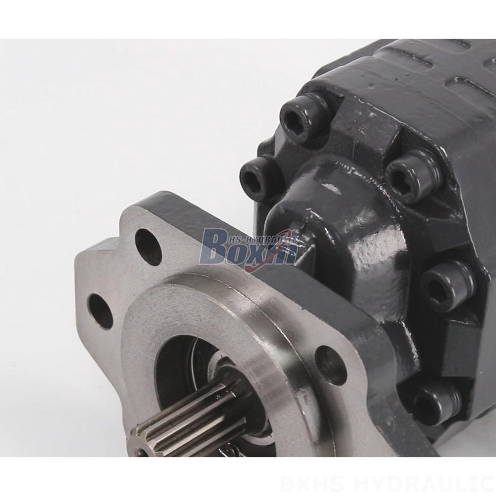 Direct from Manufacturer: CBHC-2082 Hydraulic Gear Pump, 28 MPa (4061 psi) Range detail image