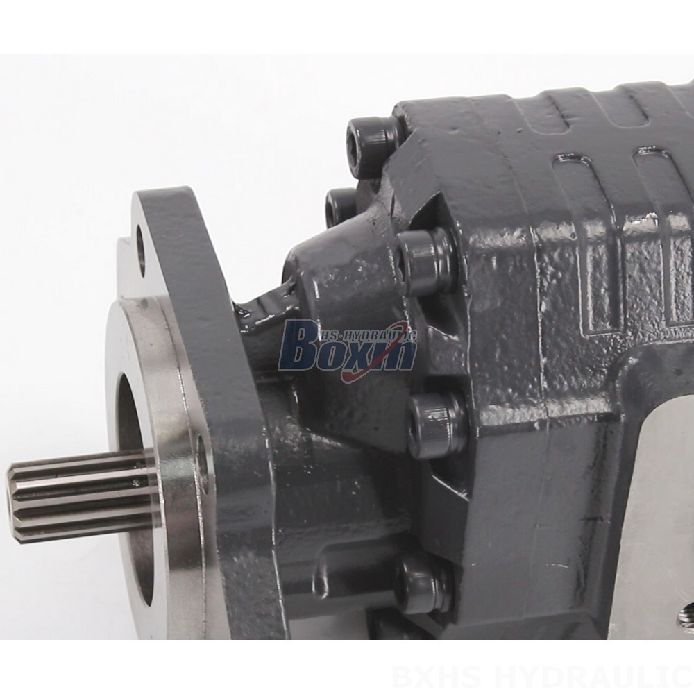 CBHC-2082 28 MPa (4061 psi) Hydraulic Gear Pump: OEM, ODM, Private Label & Customization Services Available detail image