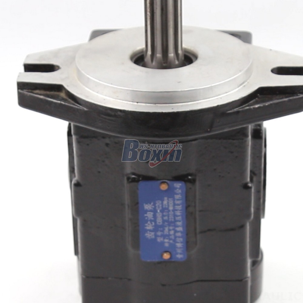 20 cc/rev Hydraulic Gear Pump: High Flow & Efficiency | Wholesale Prices detail image