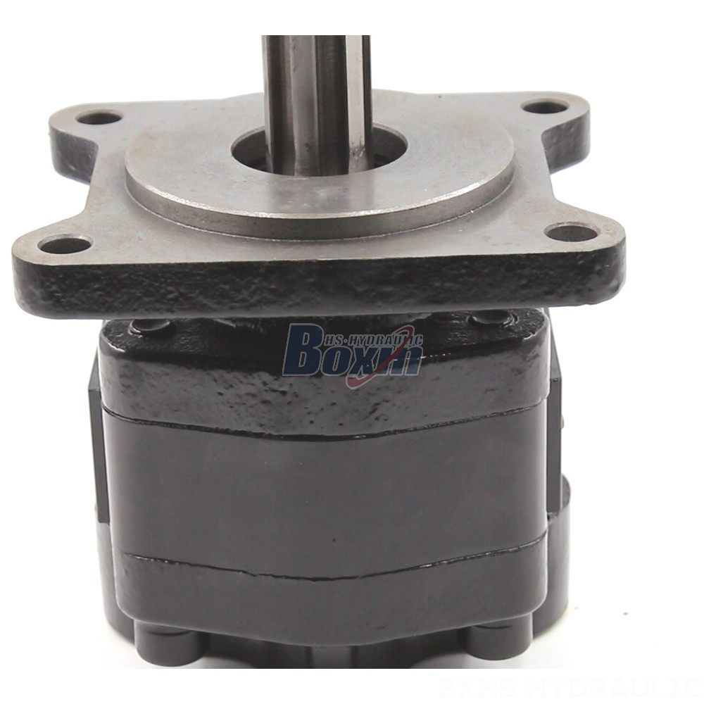 20 cc/rev Hydraulic Gear Pump: OEM & ODM Services Available detail image