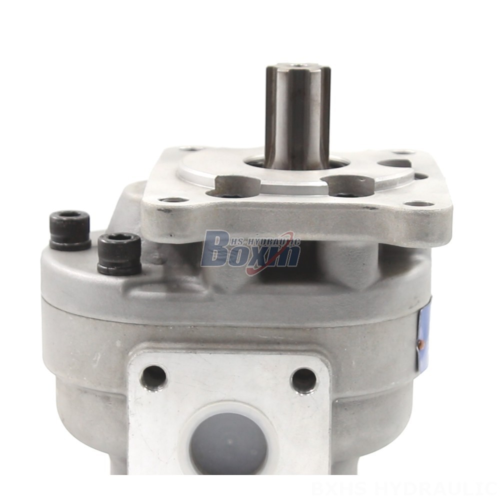 Manufacturer of CBHS-F550 Gear Pumps: Wholesale & Customization Available detail image