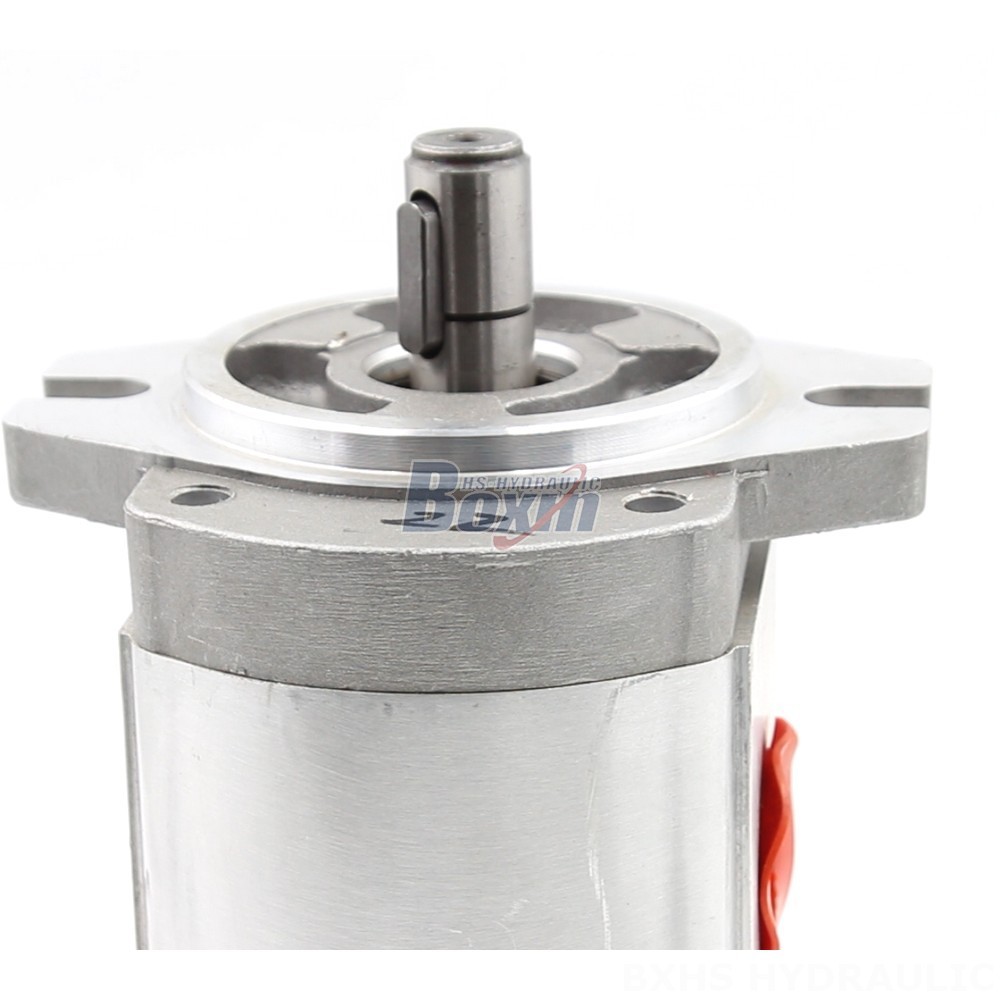 CBHS-FL304 4 cc/rev Hydraulic Gear Pump: OEM & ODM Services Available detail image