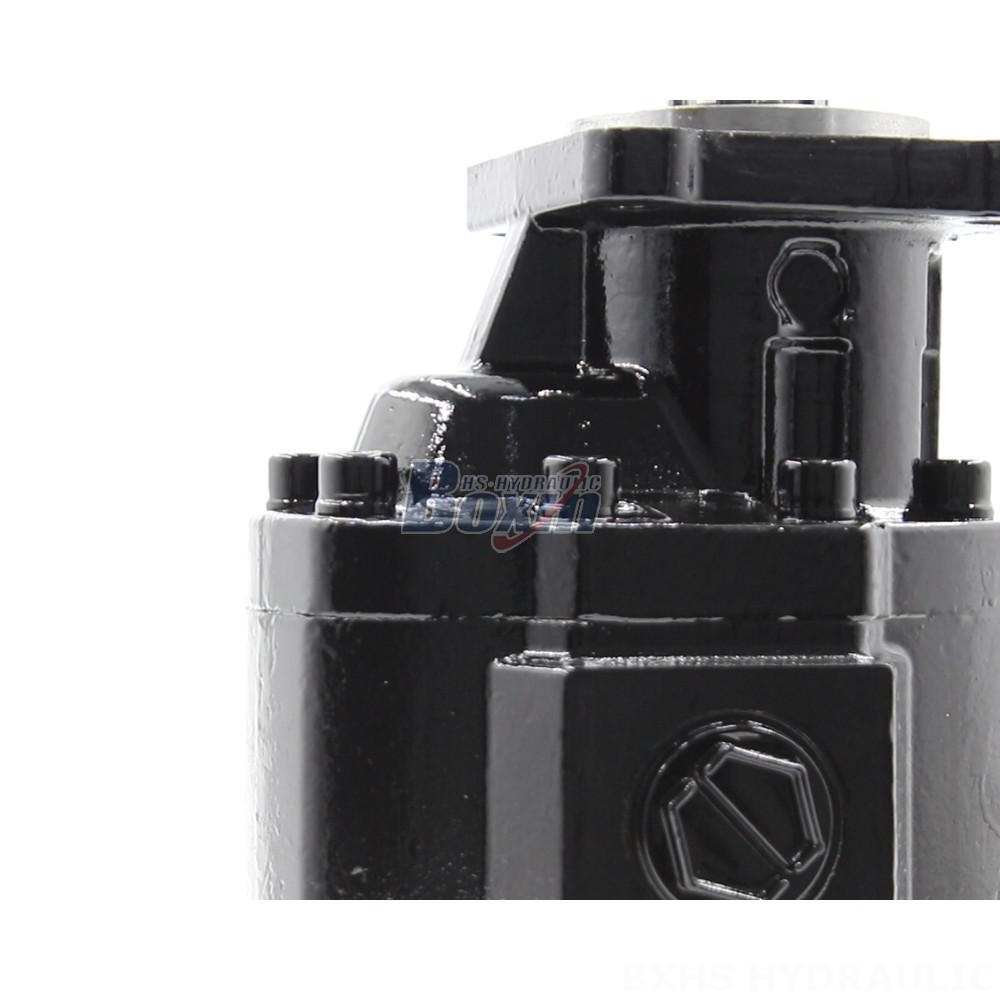 Industrial Hydraulics: Explore the Possibilities with CBHST1-ISO-63 Pumps detail image
