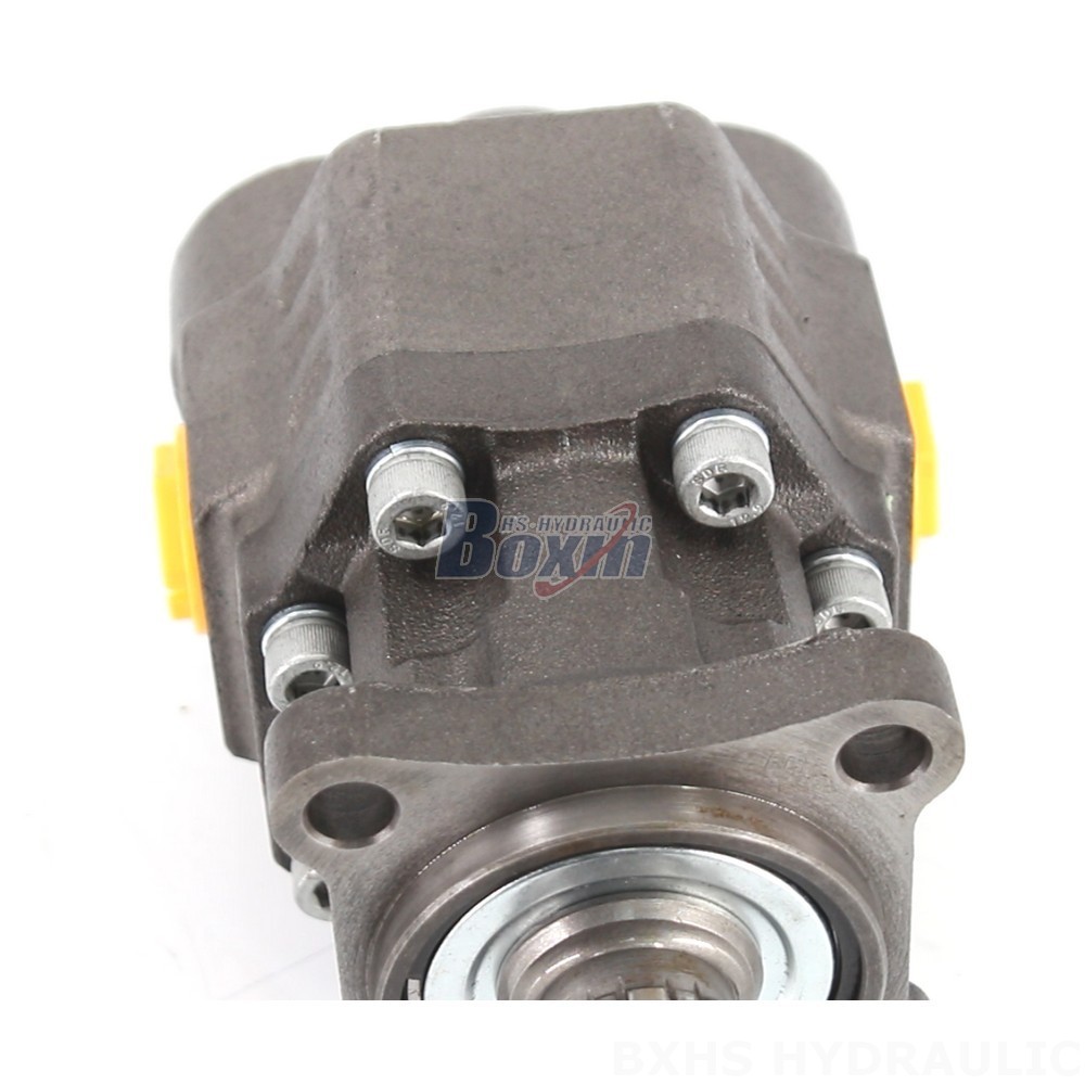 OEM, ODM, Private Label & Custom Manufacturing for CBHW-ISO-100-Y Hydraulic Gear Pumps detail image