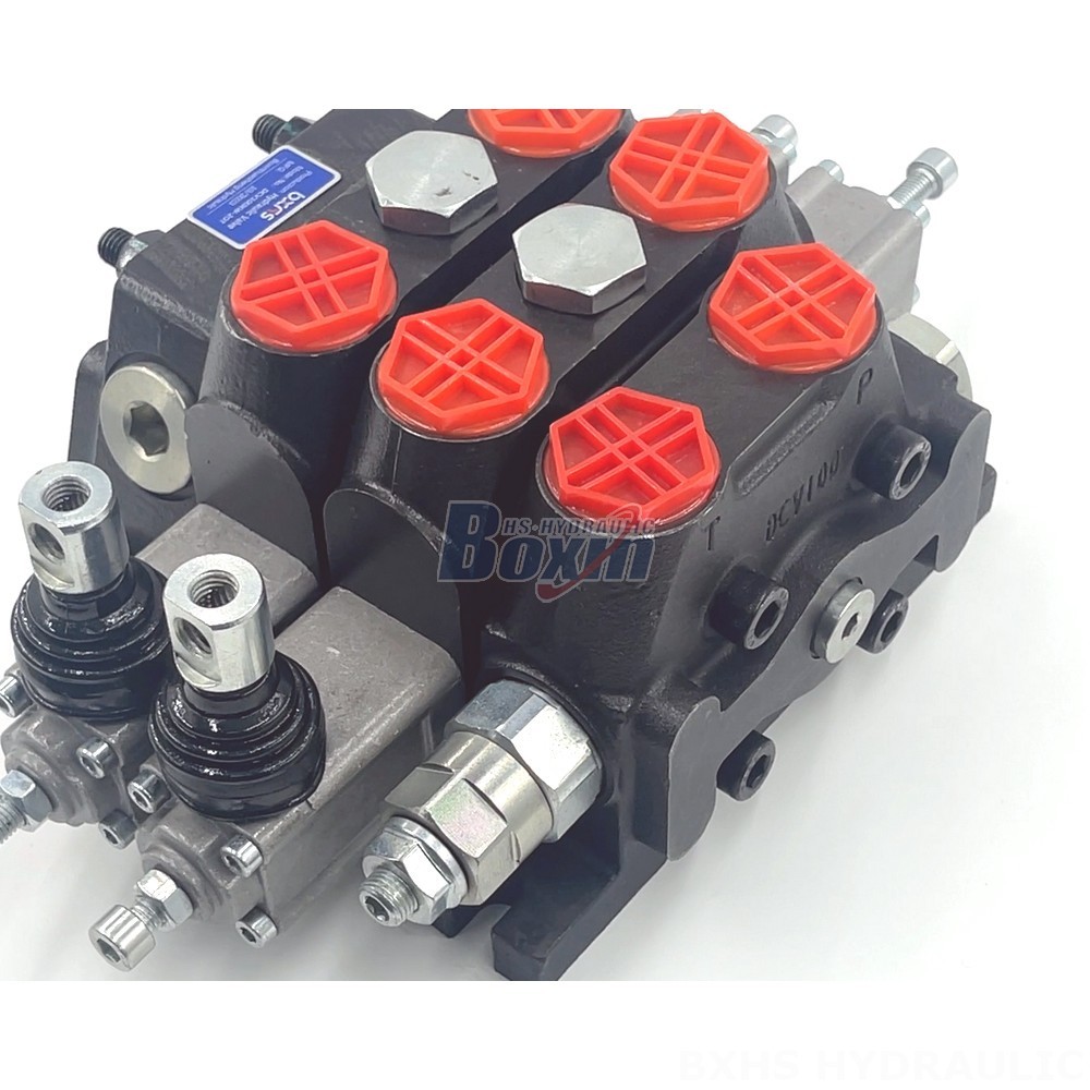 Manufacturer of DCV100 Valves: Wholesale & Customization Available detail image
