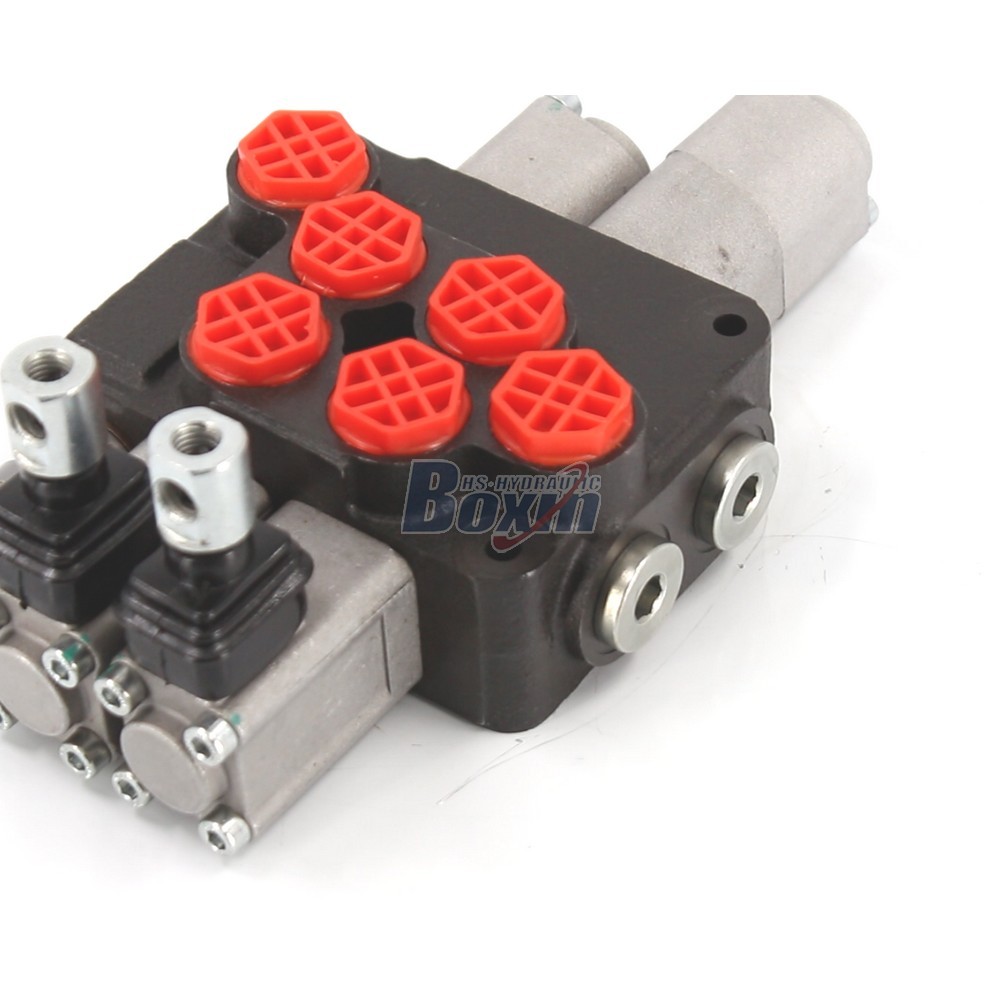 OEM and ODM Services for DCV20 Manual 2 Spool Monoblock Directional Valve Customization detail image