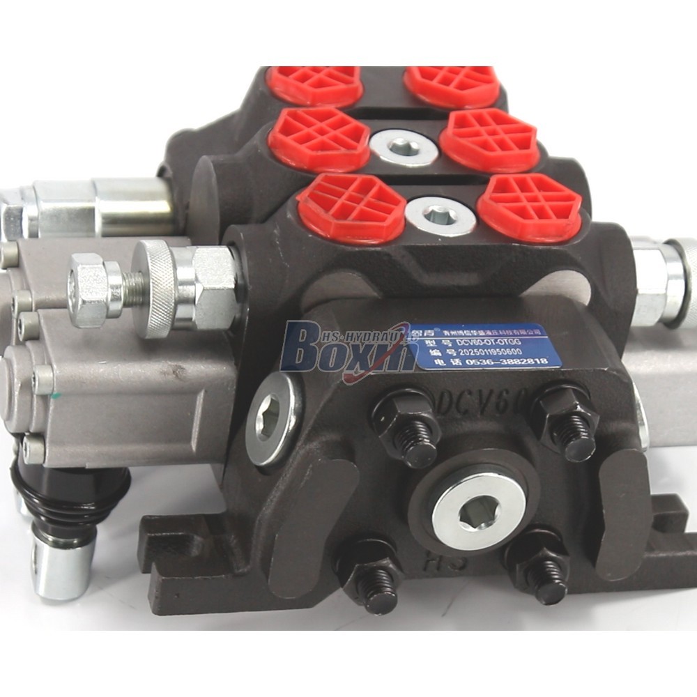 OEM/ODM Services for DCV60-FZJ Manual 2 Spool Sectional Directional Valve and Custom Labeling detail image