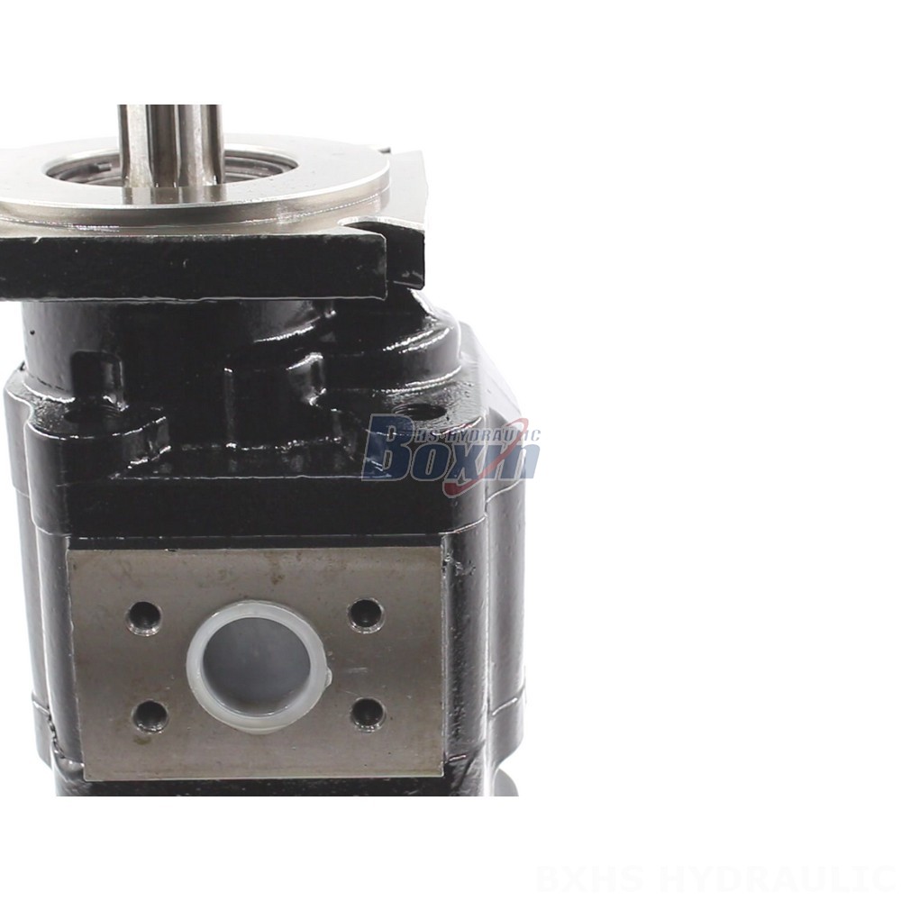 JHP2080-2080 Hydraulic Gear Pump: OEM & ODM Services Available detail image