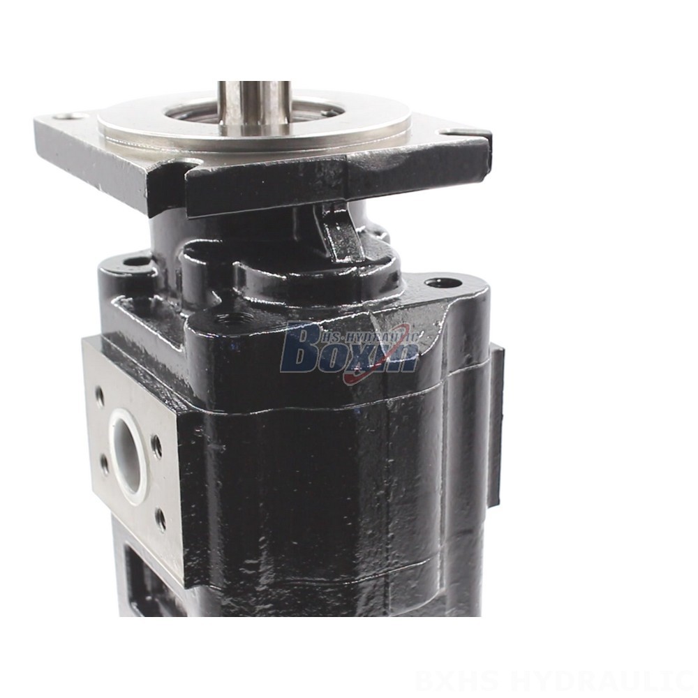 Partnership Opportunities: JHP2080-2080 Hydraulic Gear Pump Distribution detail image