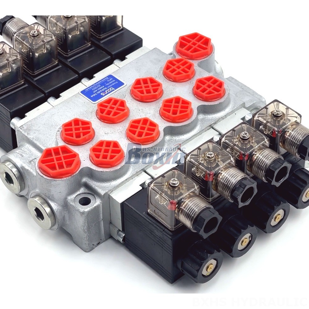 Global Supply Chain: Source P40-DKL Valves from Our Advanced Manufacturing Hubs detail image