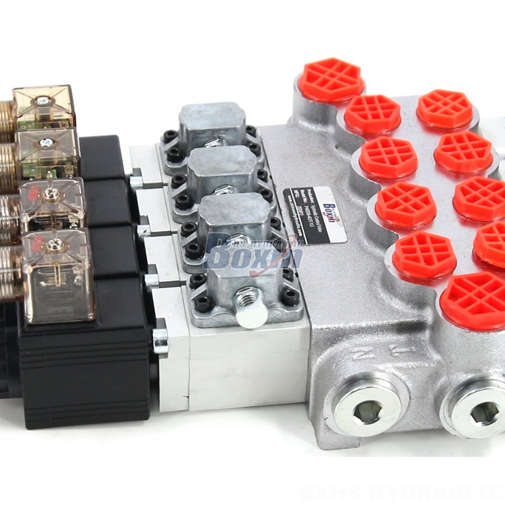 P40-DS Solenoid Valve: Factory Direct Supply, Competitive Pricing detail image