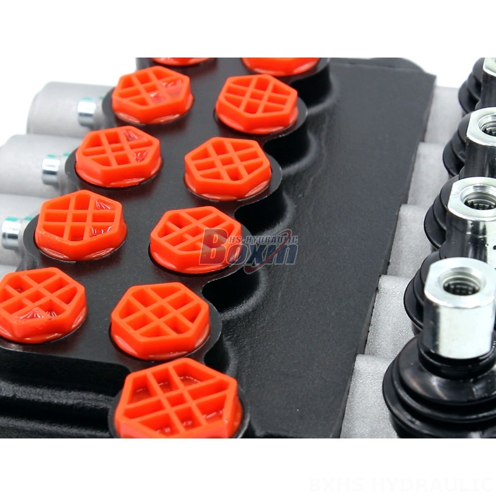 Meet Your Unique Needs: Customizable P40-G12-G38 Valves and Hydraulic Solutions detail image