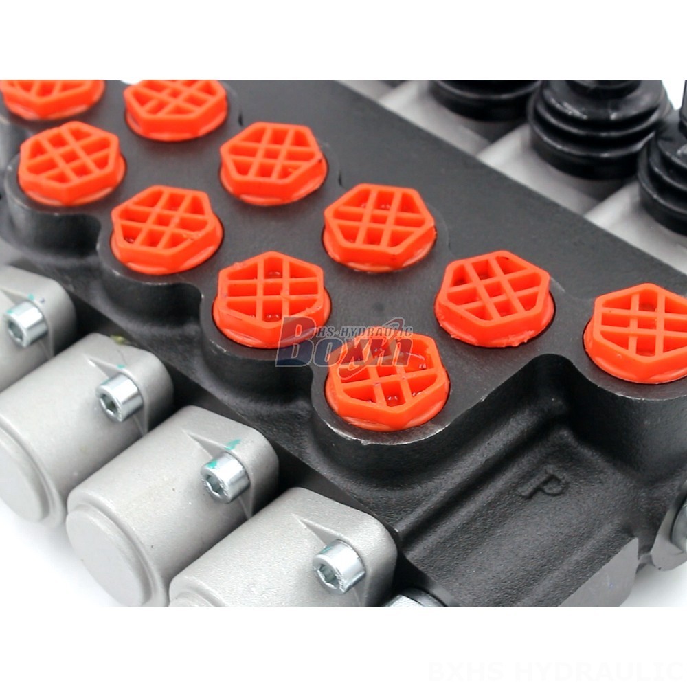 P40-G38 Hydraulic Valve: Private Label, OEM & Custom Manufacturing Services detail image