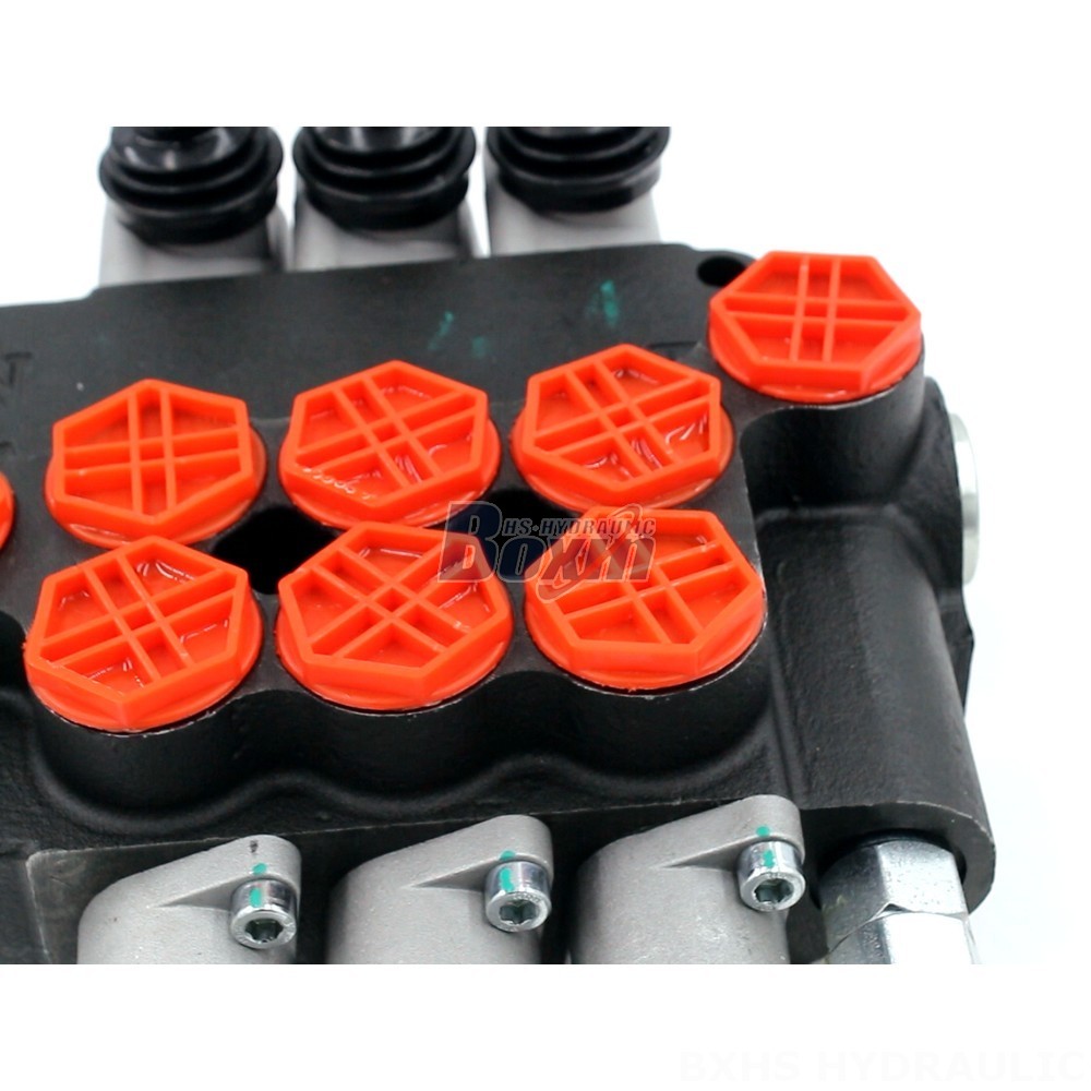 P80 Series Valve detail image
