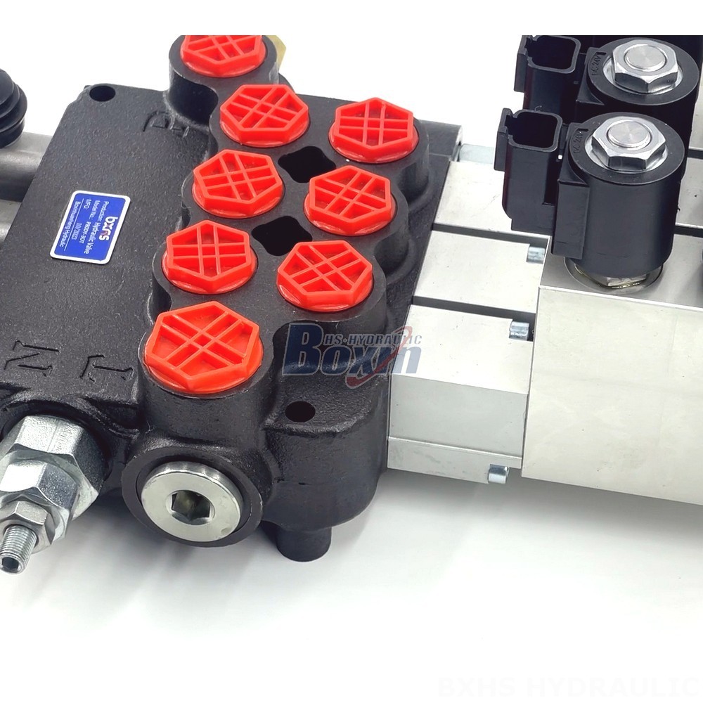 P80 Valves:  Flexible Manufacturing Options - OEM, ODM, Private Label detail image