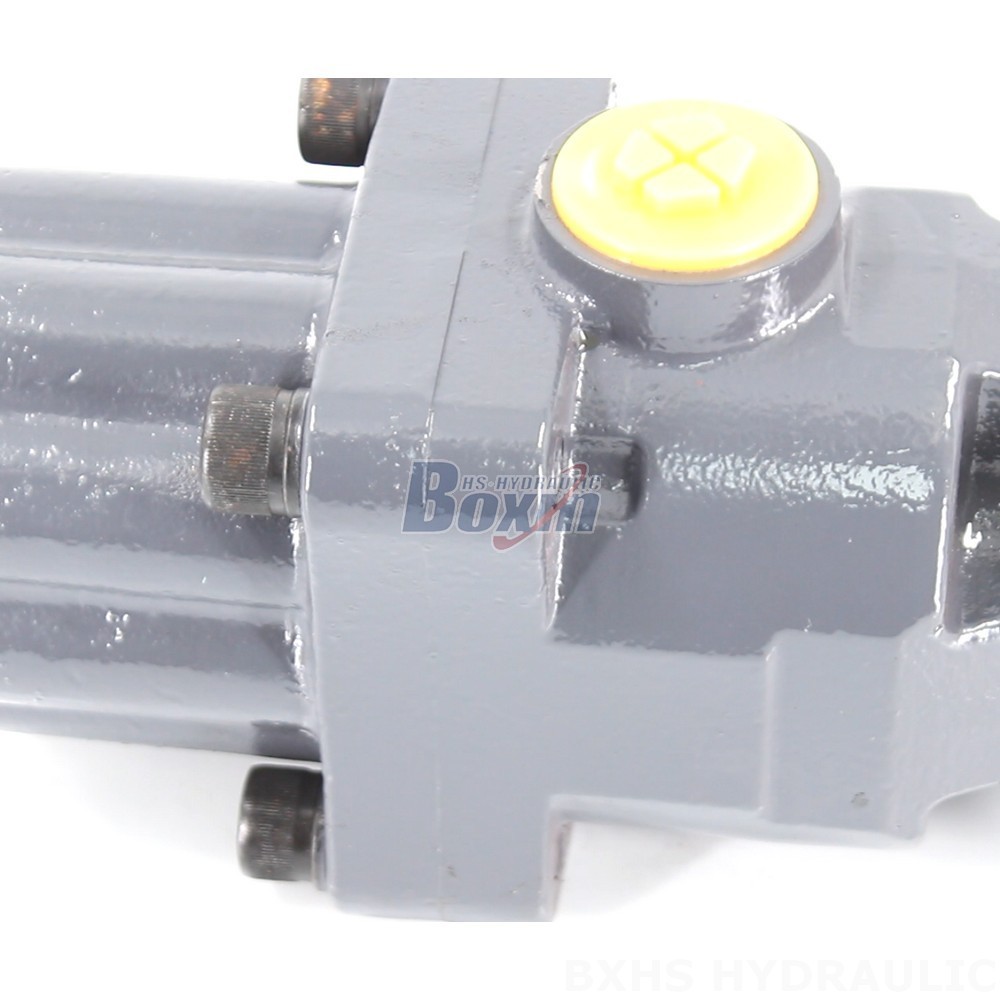 High-Pressure P9-80-H Hydraulic Piston Pump (20 MPa / 2900 psi) Supplier detail image