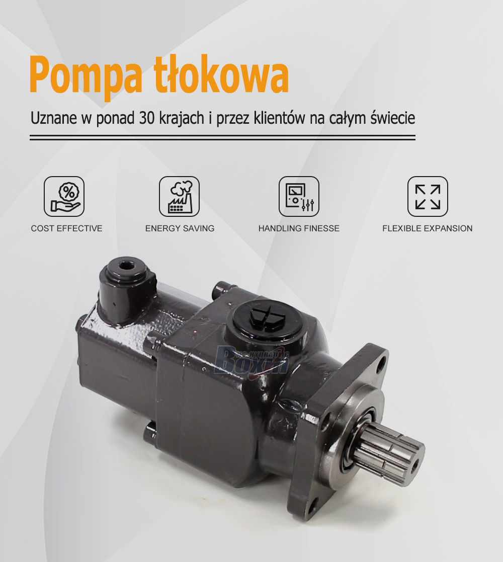 Reliable B6-50 50cc Hydraulic Pump for Machinery