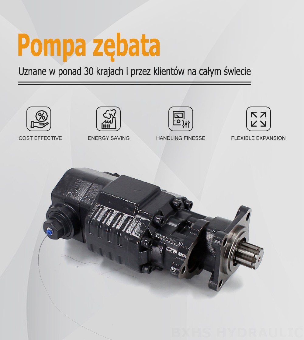 BF110A-ZF1 110 cm³/obr 20 MPa (2900 psi) Pompa hydrauliczna zębata