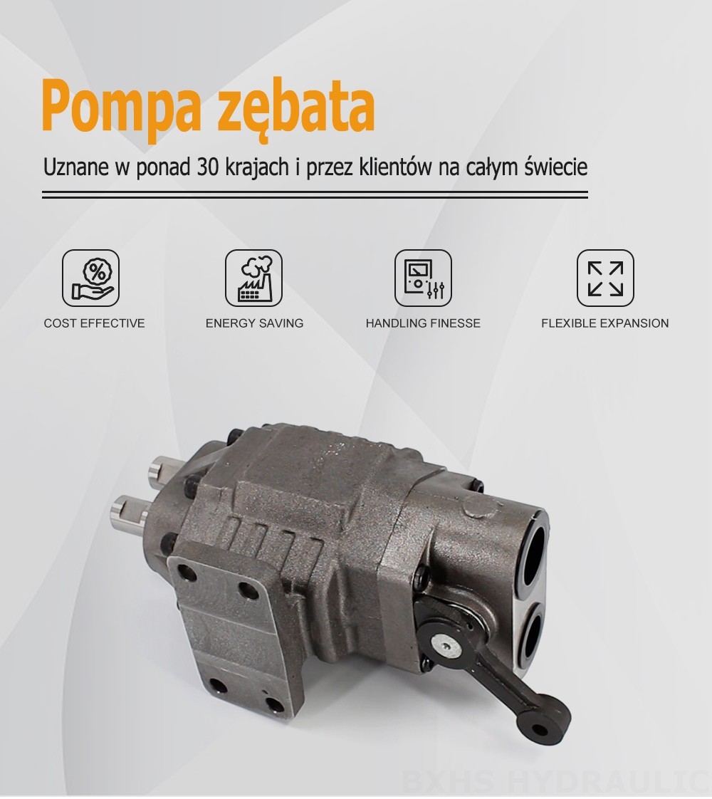 BF110M 110 cm³/obr 20 MPa (2900 psi) Pompa hydrauliczna zębata