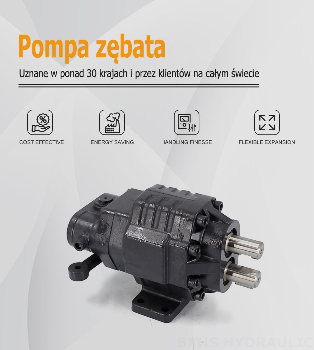 BF62M 63 cm³/obrót 20 MPa (2900 psi) Pompa hydrauliczna zębata
