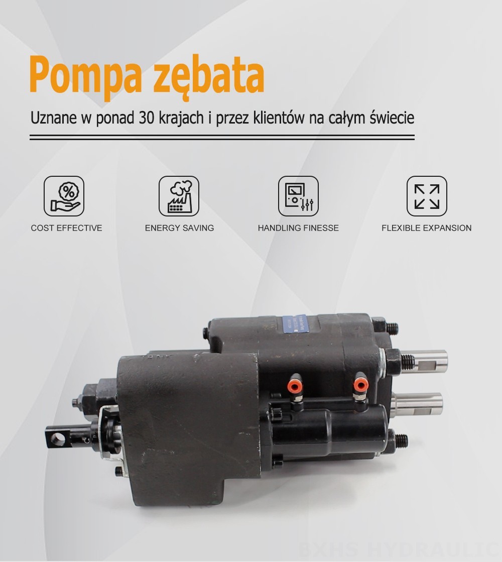 C101-25-LAS 112 cm³/obr Pompa hydrauliczna zębata