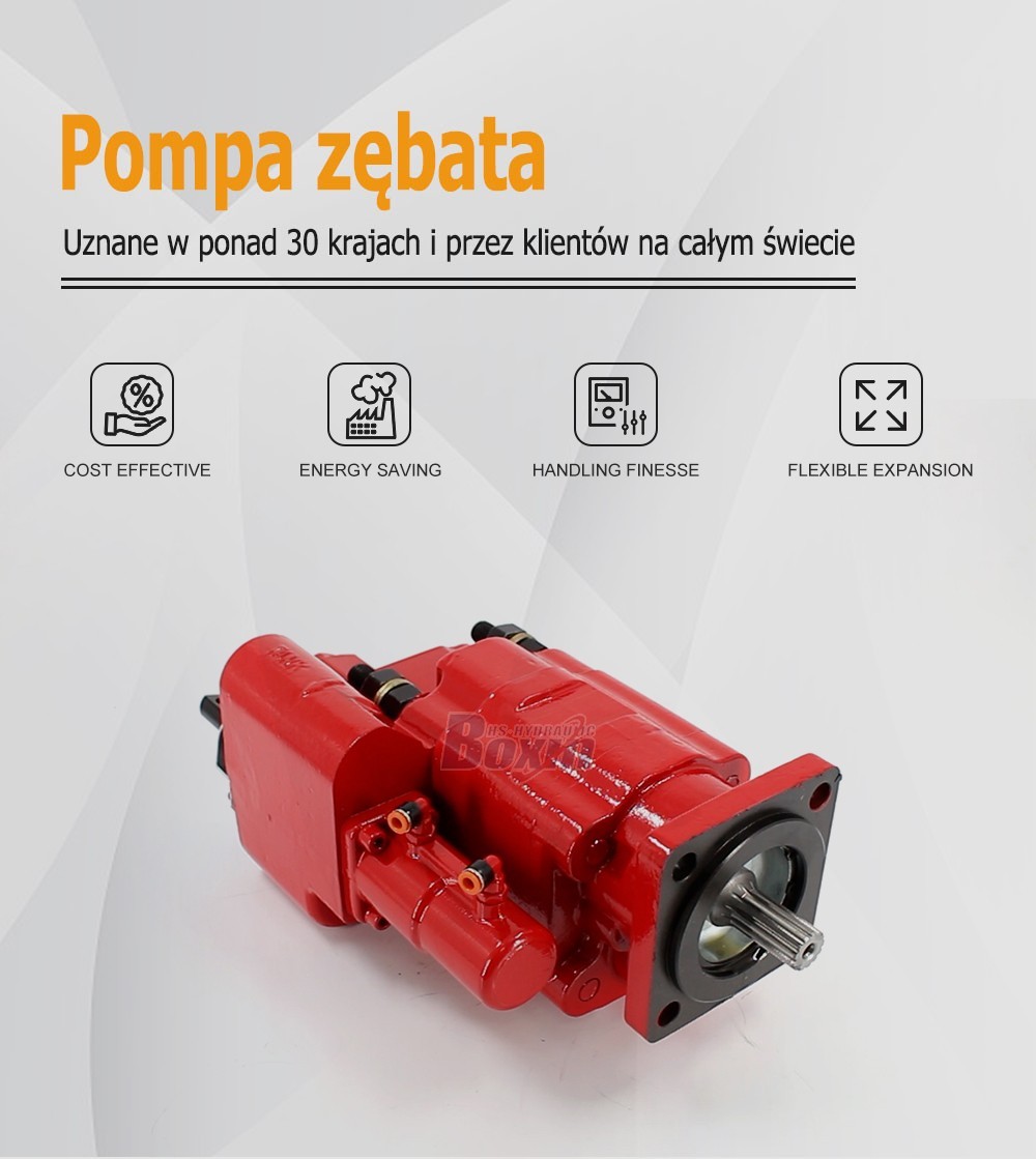 Durable C102-AS-25-H 100 cc/rev Hydraulic Gear Pump for Heavy Equipment