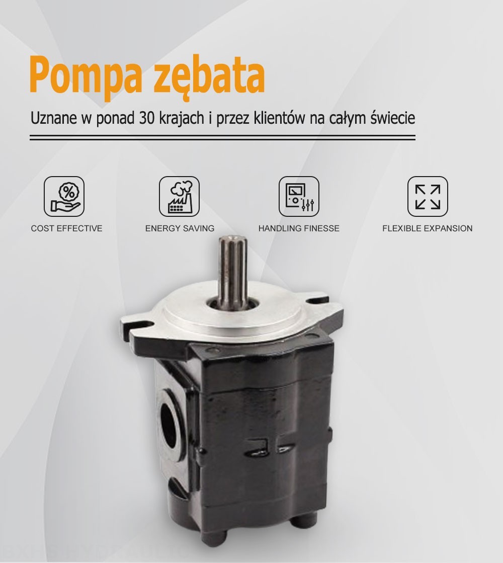 CBHS-C20 20 cm³/obr Pompa hydrauliczna zębata