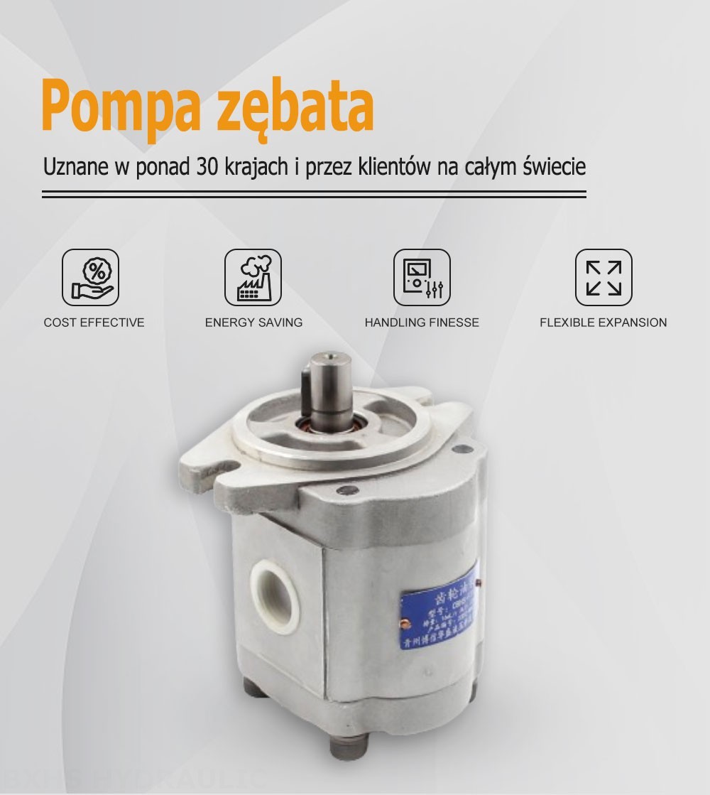 CBHS-F316 Przepływ na obrót 16 cm³ Pompa hydrauliczna zębata