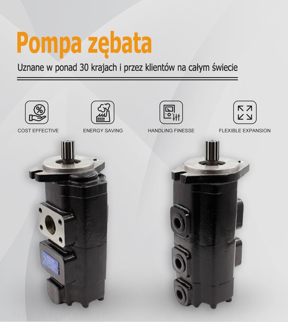 CBHS-F420 20 cm³/obr Pompa hydrauliczna zębata