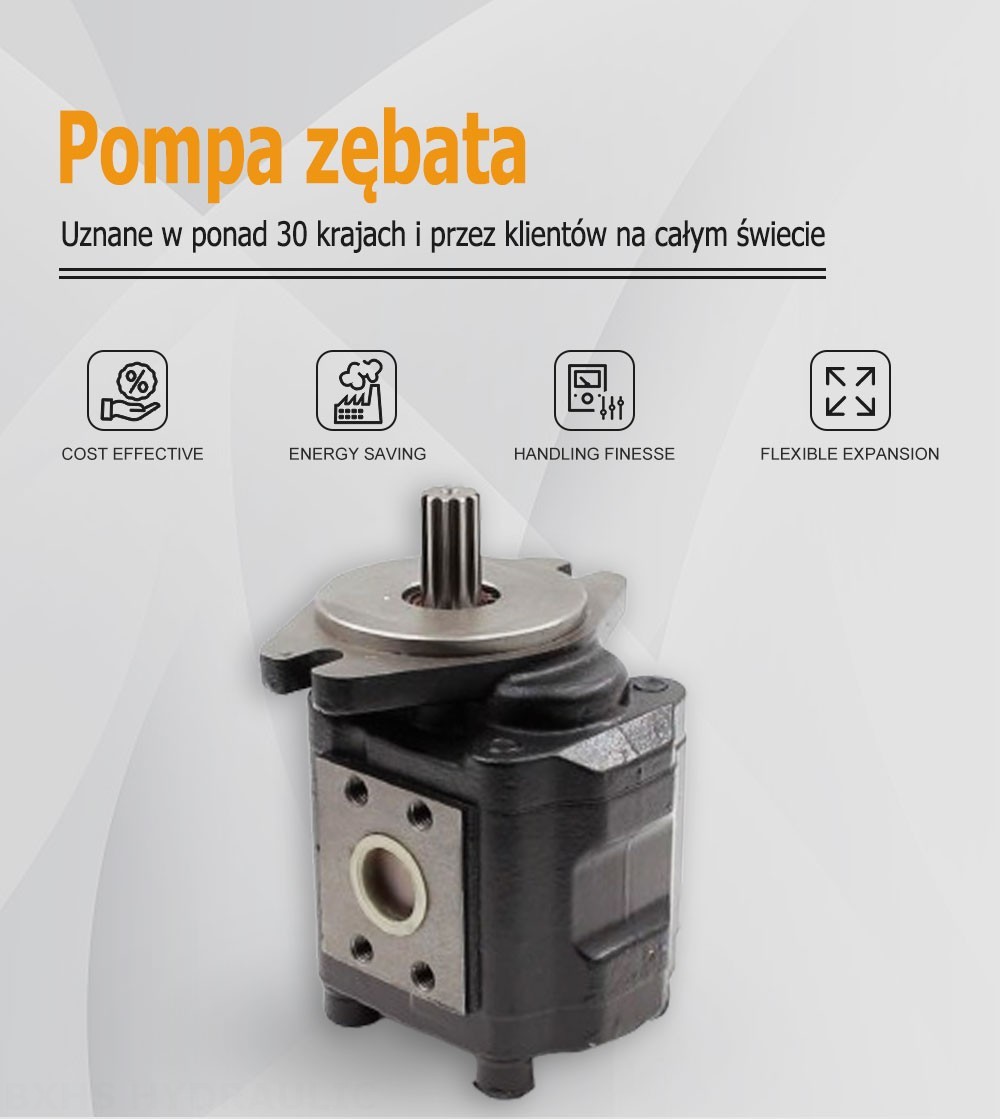 CBHS-F425 25 cm³/obr Pompa hydrauliczna zębata