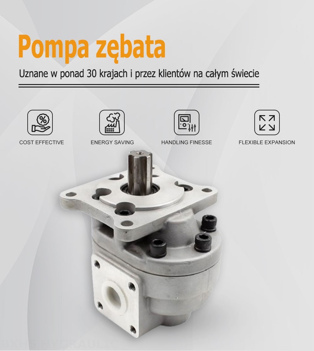 CBHS-F550 50 cm³/obrót Pompa hydrauliczna zębata