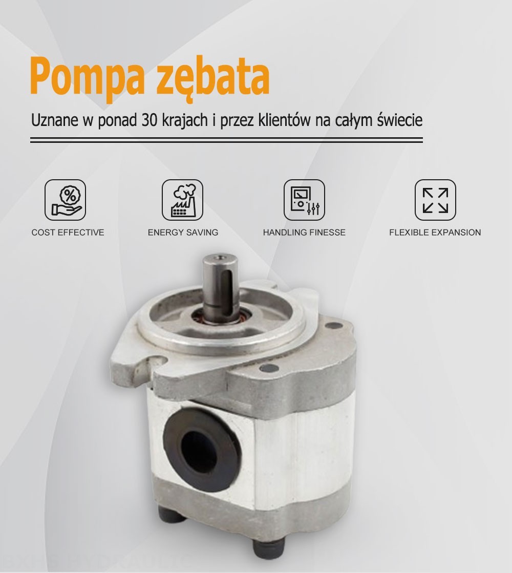 CBHS-FL-306 Przepływ na obrót 6 cm³ Pompa hydrauliczna zębata