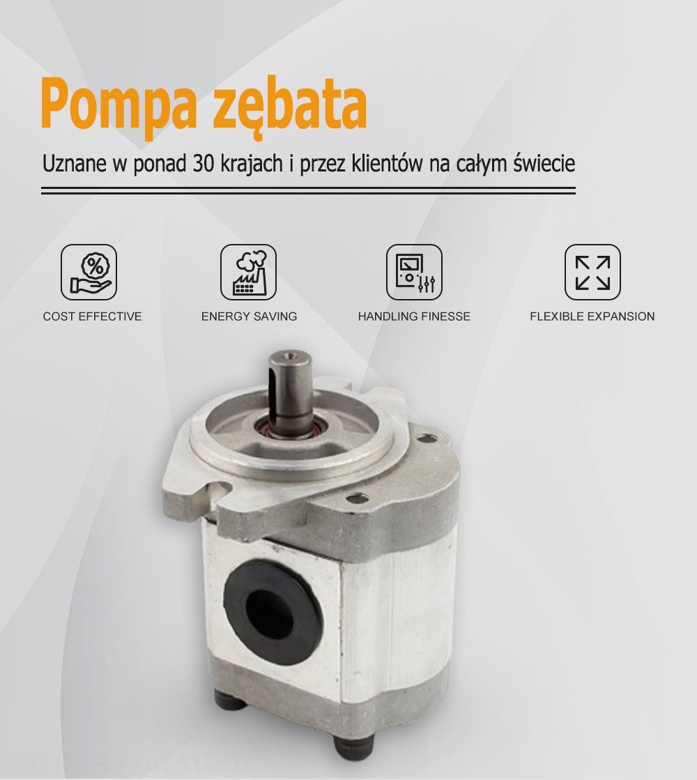 CBHS-FL-314 Przepływ na obrót 14 cm³ Pompa hydrauliczna zębata