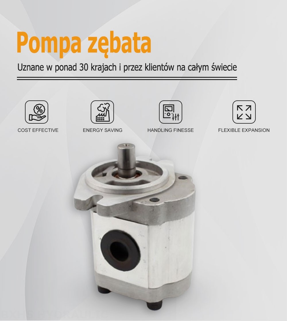 CBHS-FL-316 Przepływ na obrót 16 cm³ Pompa hydrauliczna zębata