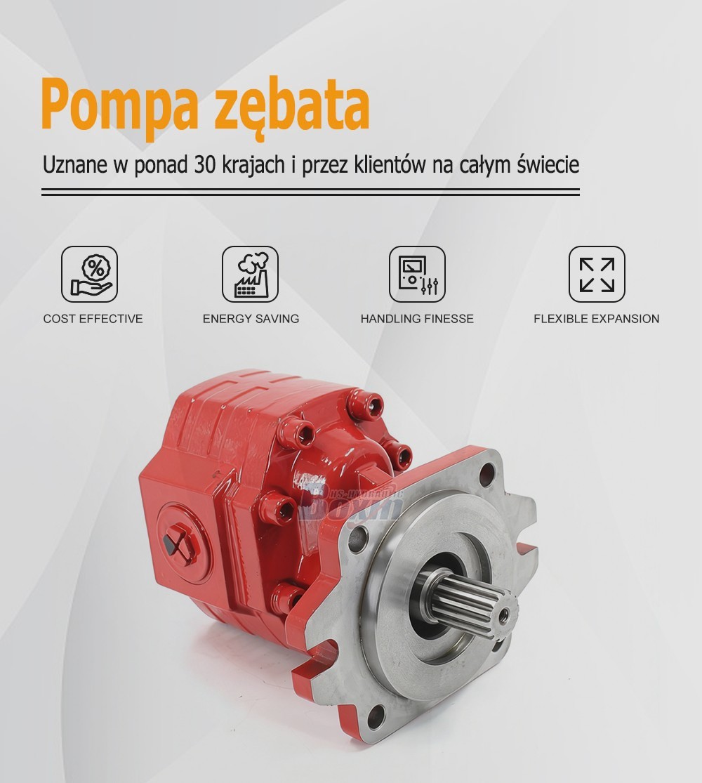 CBHS3100 100 cc/rev Hydraulic Gear Pump Unit Specification