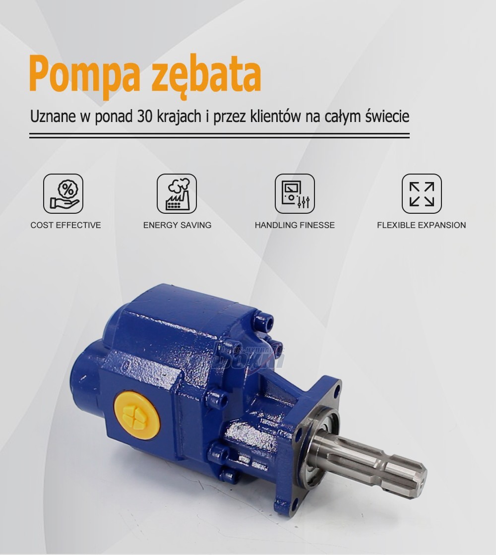 Direct Factory Outlet for CBHST1-110-KZ 110 cc/rev Hydraulic Gear Pump