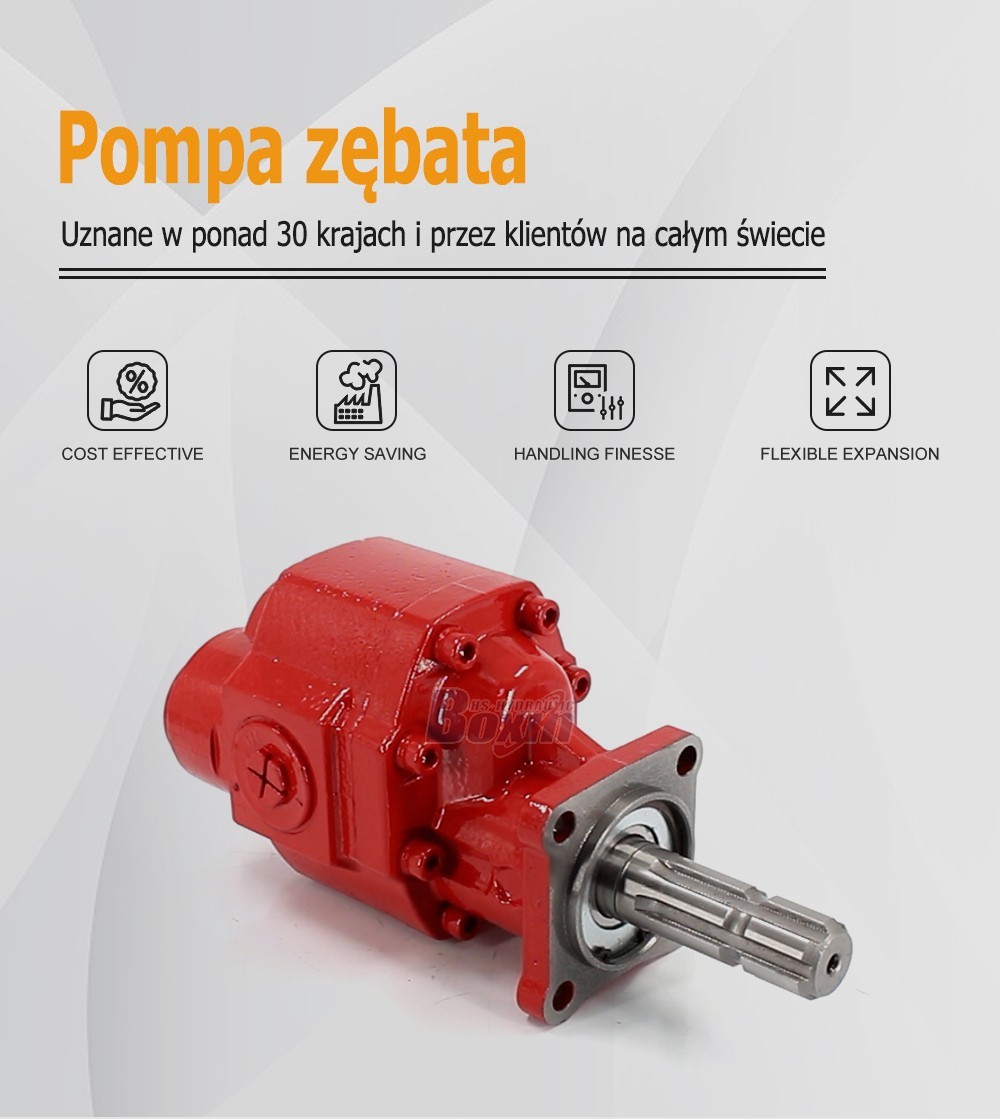 Bulk Order CBHST1-80-KZ 80 cc/rev Hydraulic Gear Pump from Certified Factory