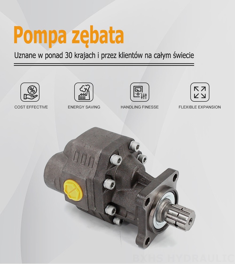 CBHW-ISO-100-Y 100 cm³/obrót 22 MPa (3190 psi) Pompa hydrauliczna zębata