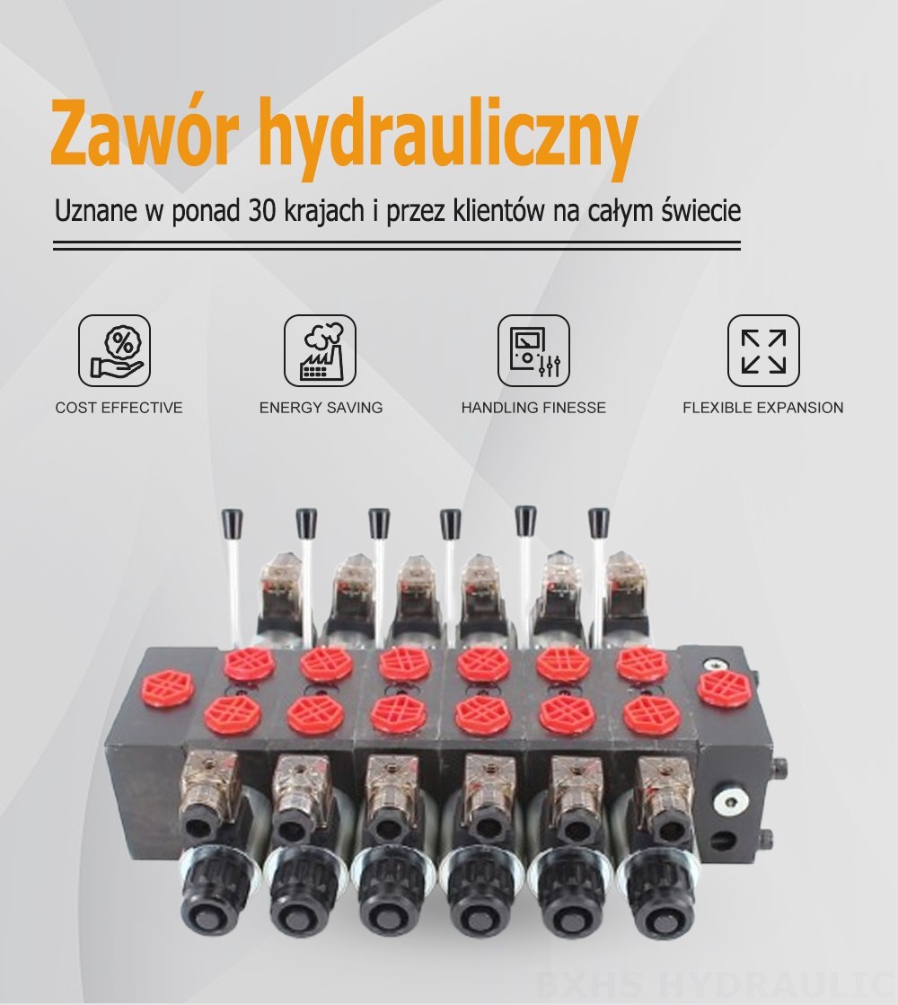 DCV58 Elektromagnes 6 Szpul Zawór kierunkowy sekcyjny