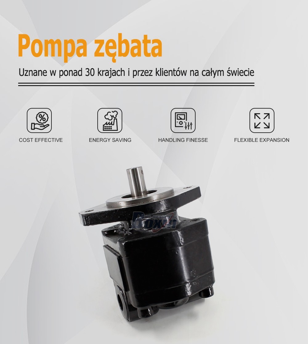 High Performance CBHS-FC25 Hydraulic External Gear Pump 25cc