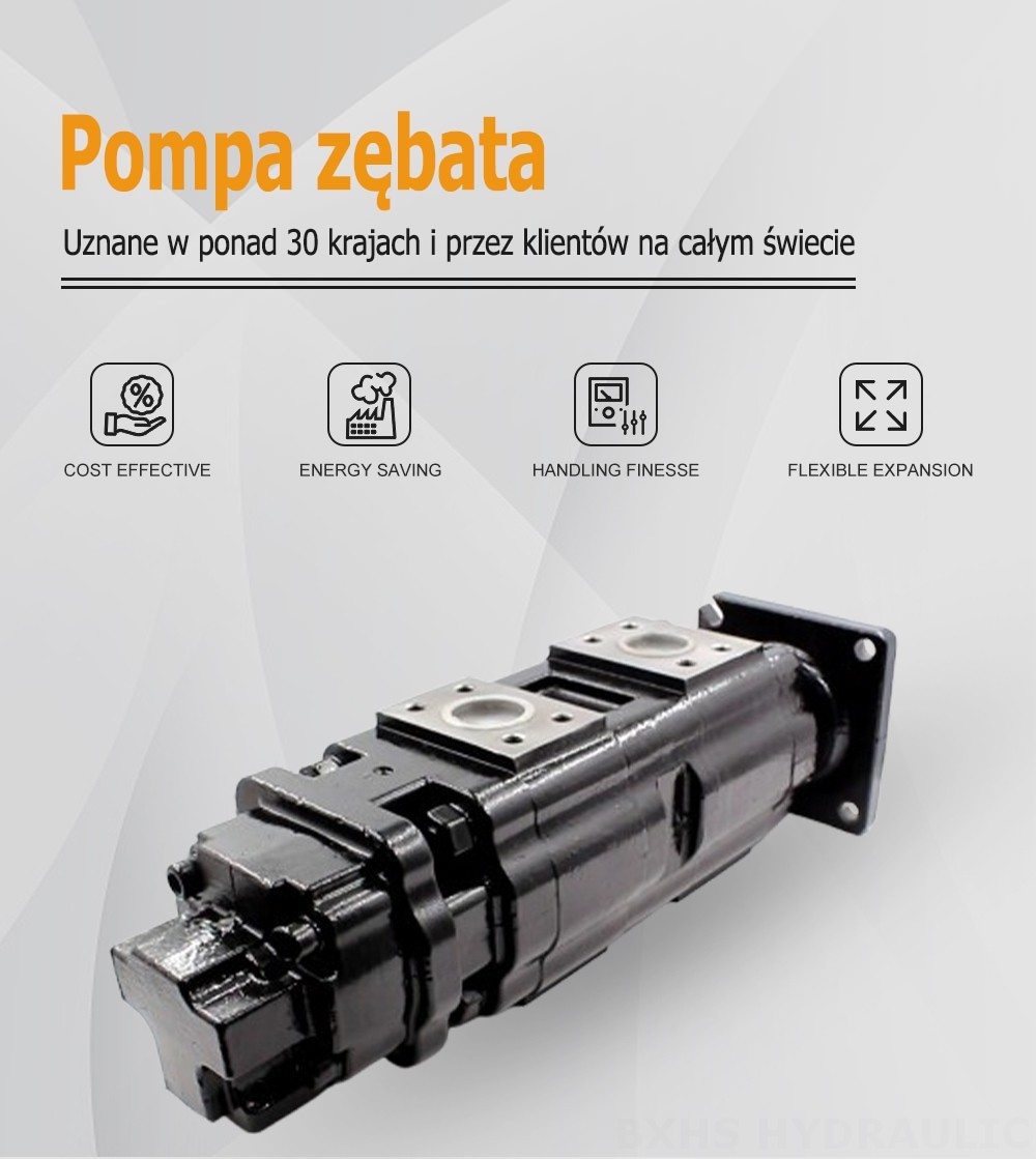 JHP2080-2080-1016 80 cm³/obrót Pompa hydrauliczna zębata
